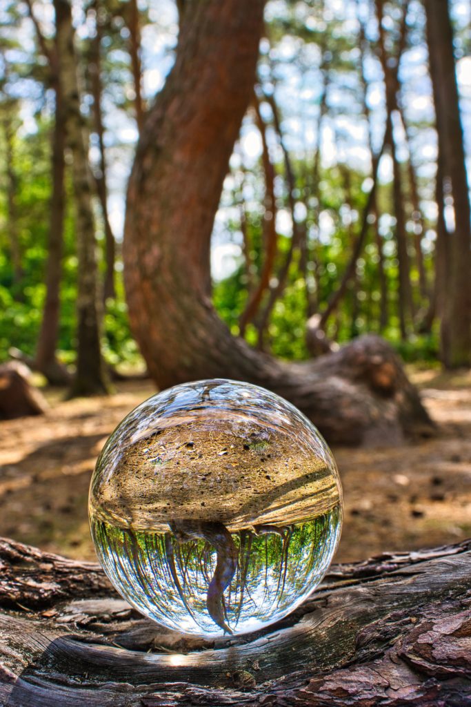 Krzywy Las - Lensball