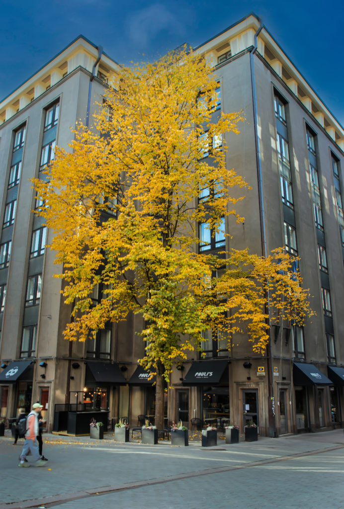 Goldener Oktober - Helsinki