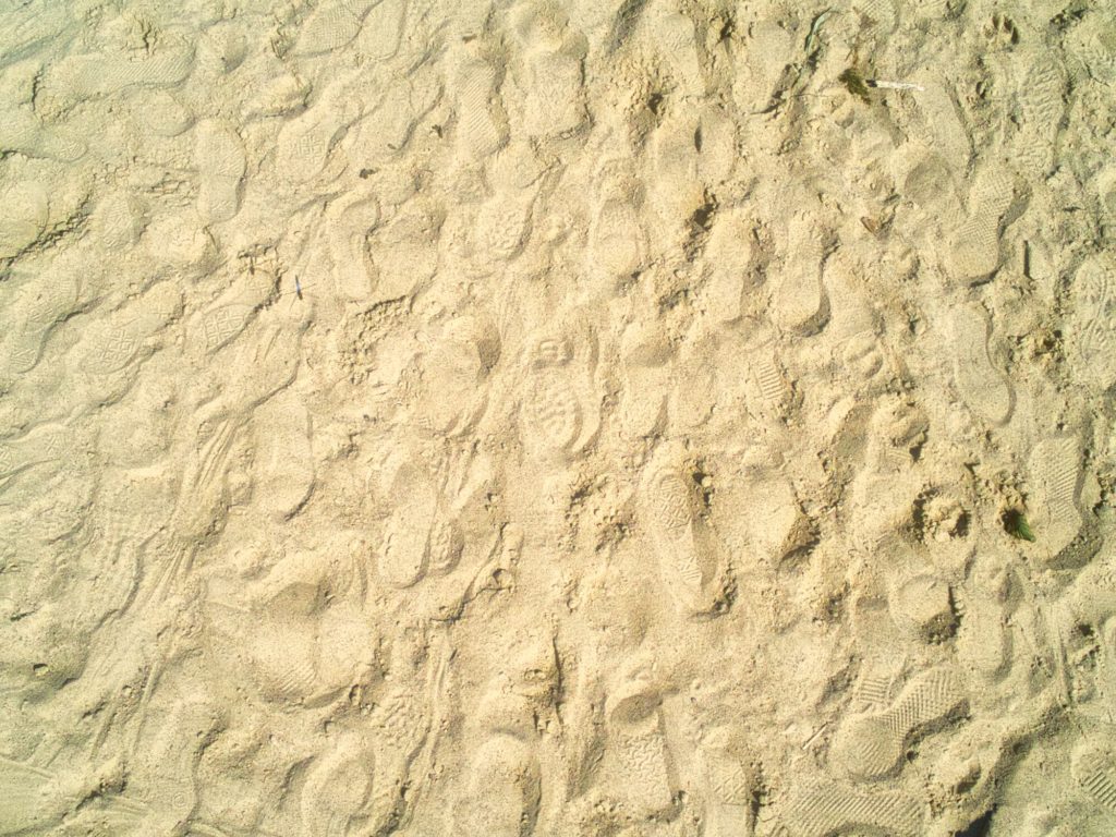 Spuren im Sand - Kölpinsee