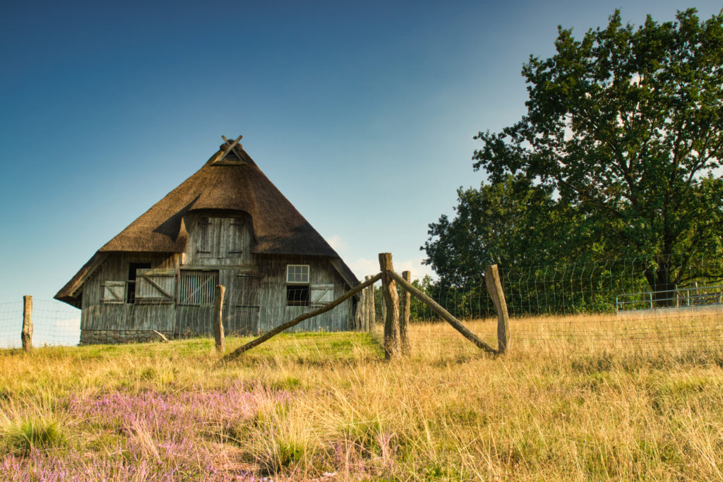 Heidschnuckenstall Niederhaverbeck