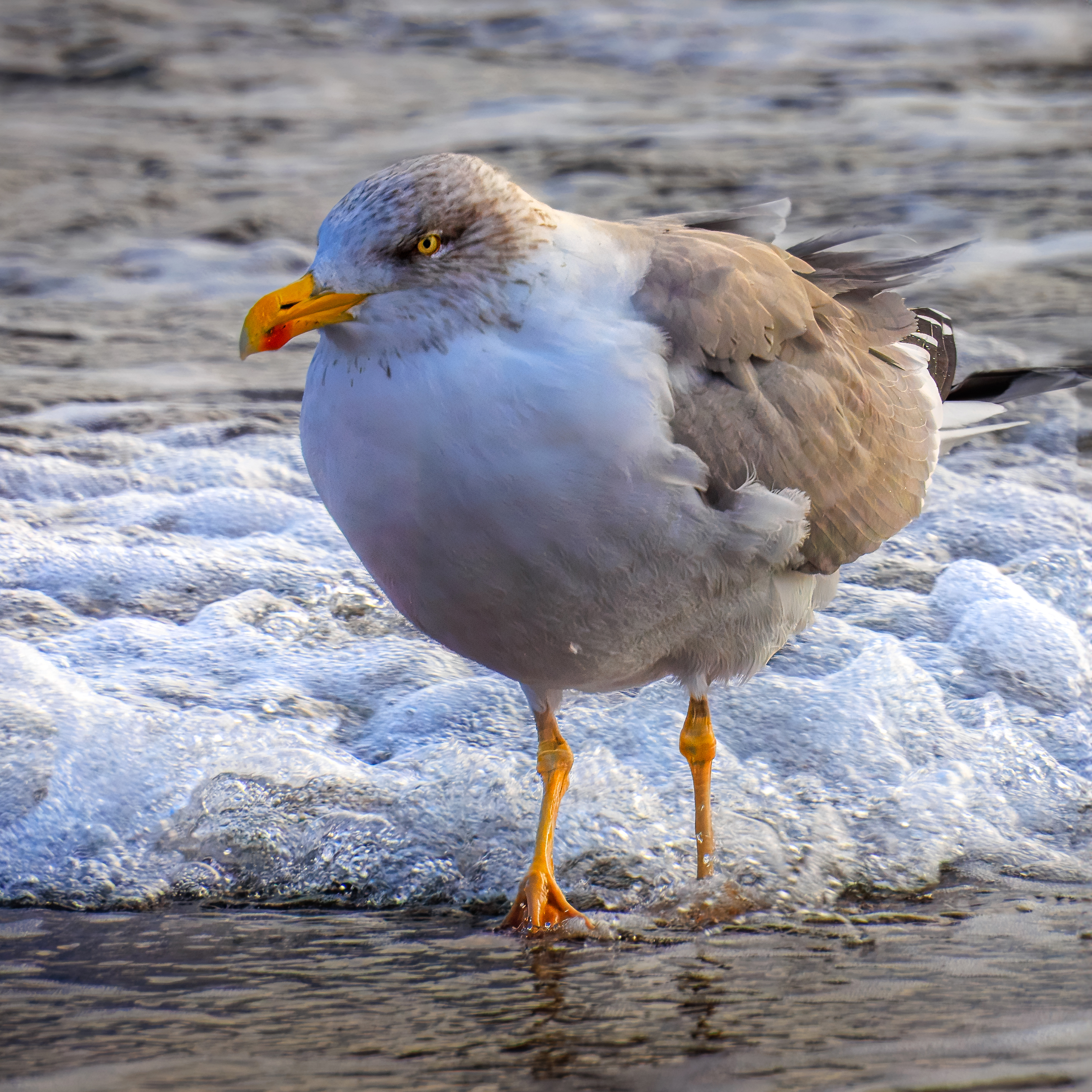 Wind und Wellen – Ostsee