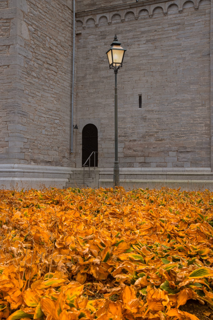Oktobergold am Dom zu Visby