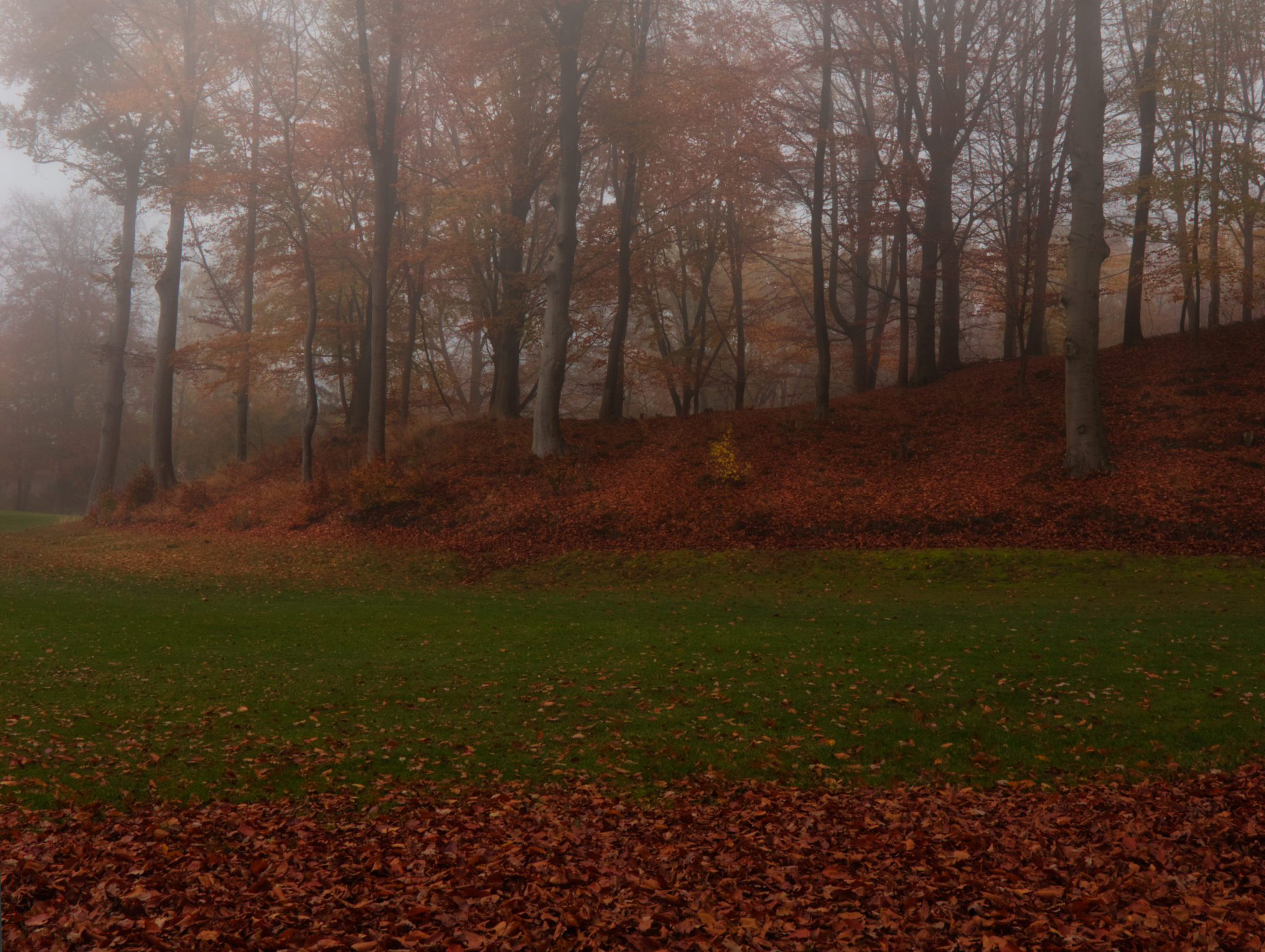 November Nebel Mystischer Nebel BildwerkJork.de